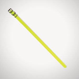 Replacement 2.5cm Collar Strap - Yellow